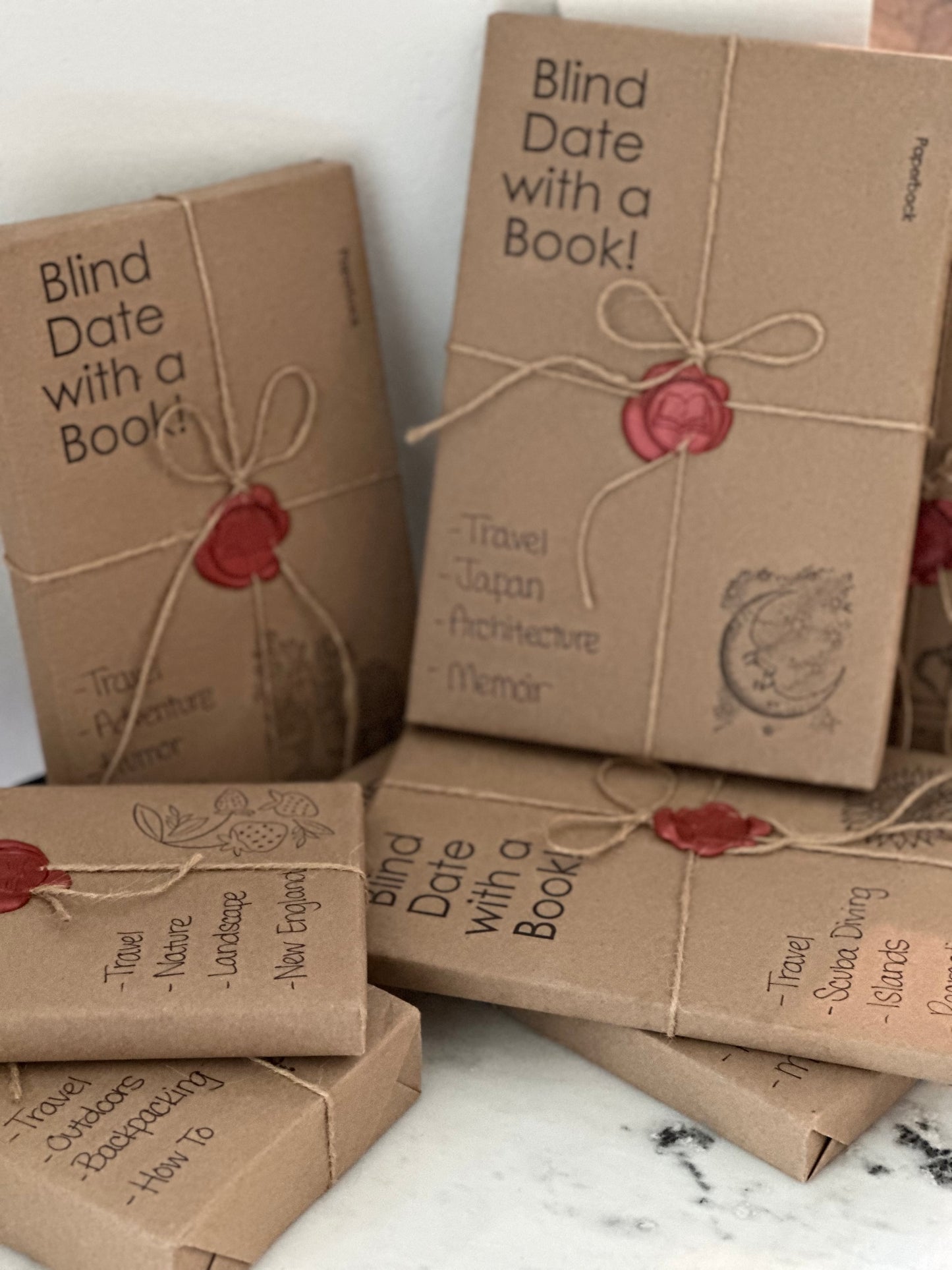 Blind Date With a Book: Travel Themed