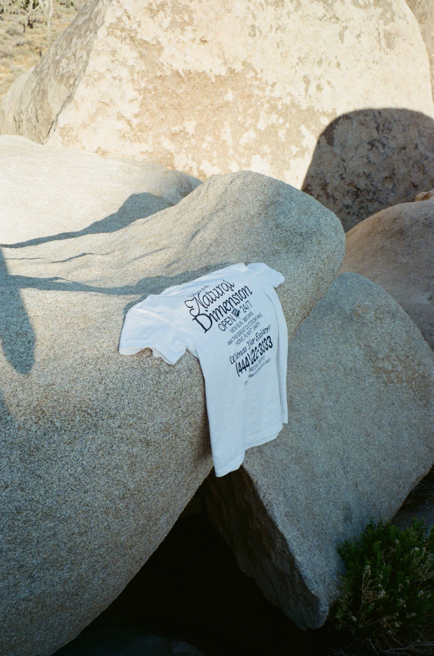 Natural Dimension Tee