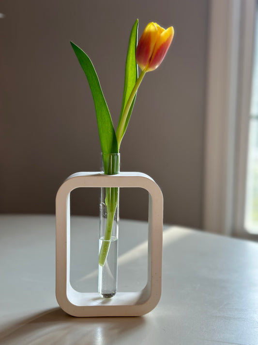 Plant Propagation Station/Vase